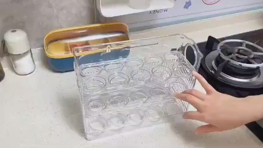 Autoflip Fridge Egg Storage Plastic Box